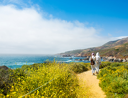 Hiking Laguna Coastal